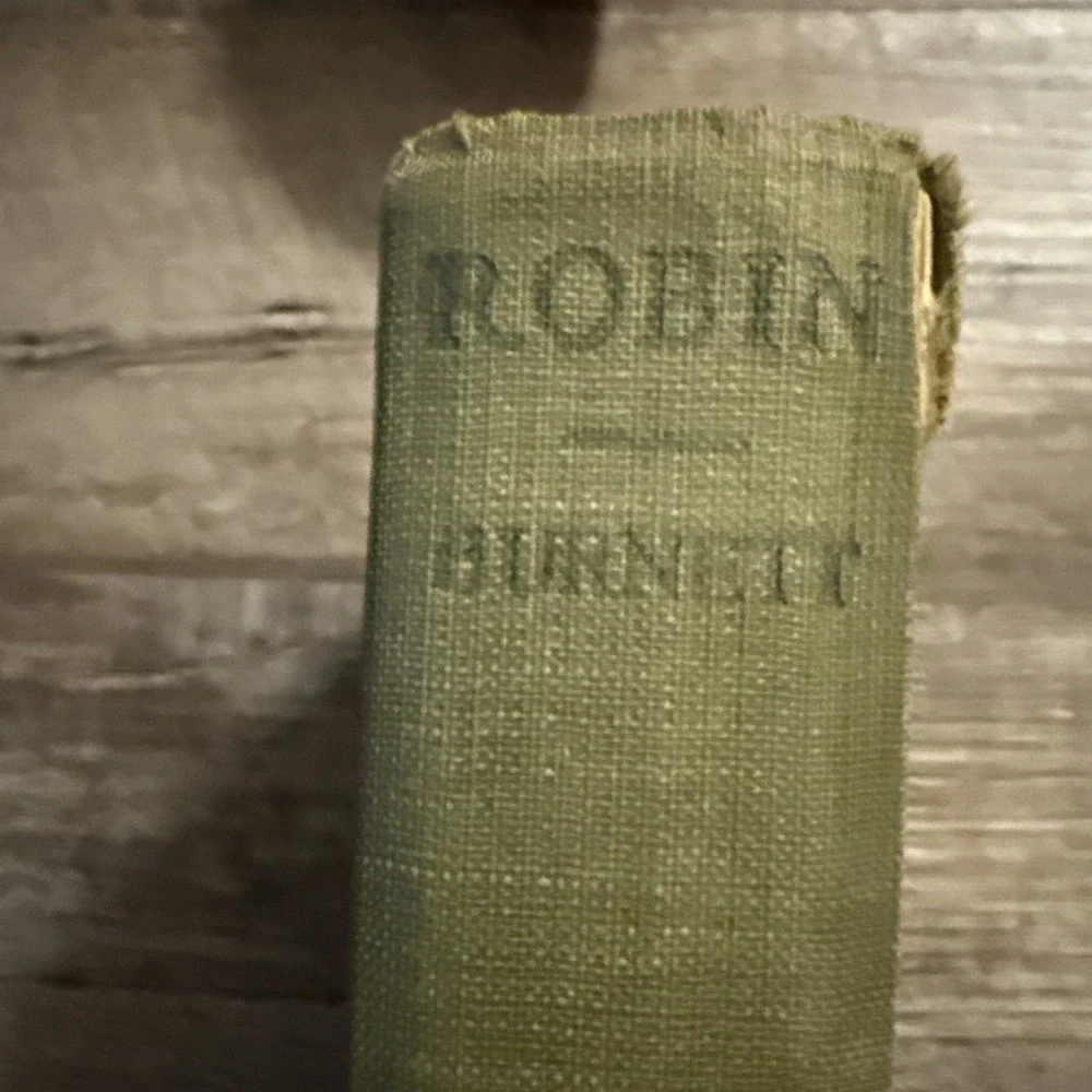 Frances Hodgson Burnett, Robin HC Vintage 1922 Pre Owned
